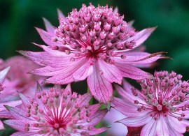 zlcauc89jkcjxq7jklmotloqkety0cy8y27ozqu-ya9p8kso4epnkq_hbcph_jq9fvfhokxdyrukayyfx_9wtsgwu74a-nhzrmzkj0whmlulafxa5wm2lyyvf8osrlcz5ujskppuwykv4ateddsyeos-galbgh0rspftso1th-0hthppxjpibydzbjqbnipms6dlansbqd1erqu
