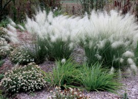 45015422_m_white_cloud_1-1
