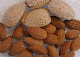 almond-nut-picture-7-300x300