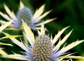 flsery31106_3